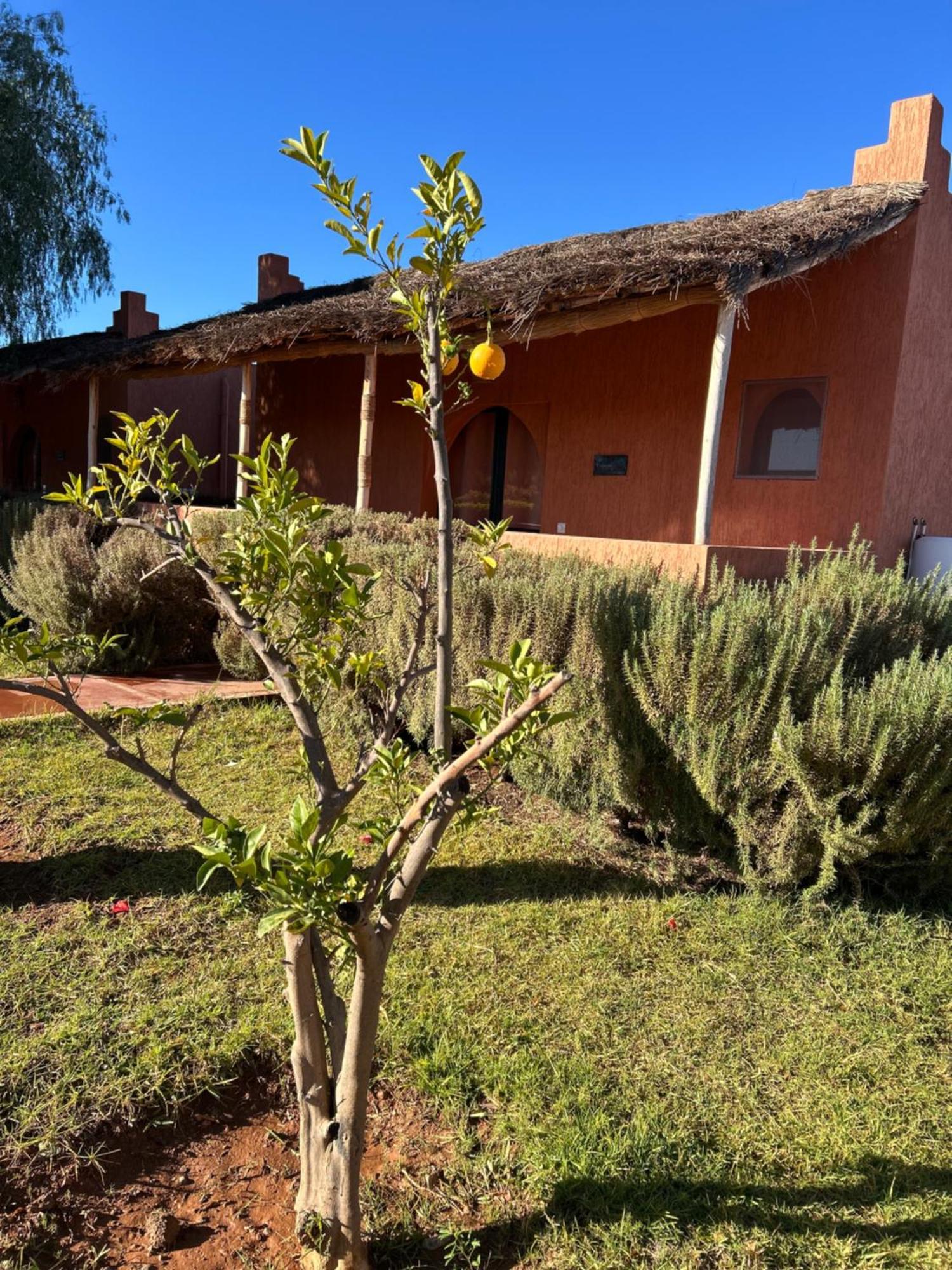 Douar Akkara Les Orangers De L'Ourika酒店 外观 照片